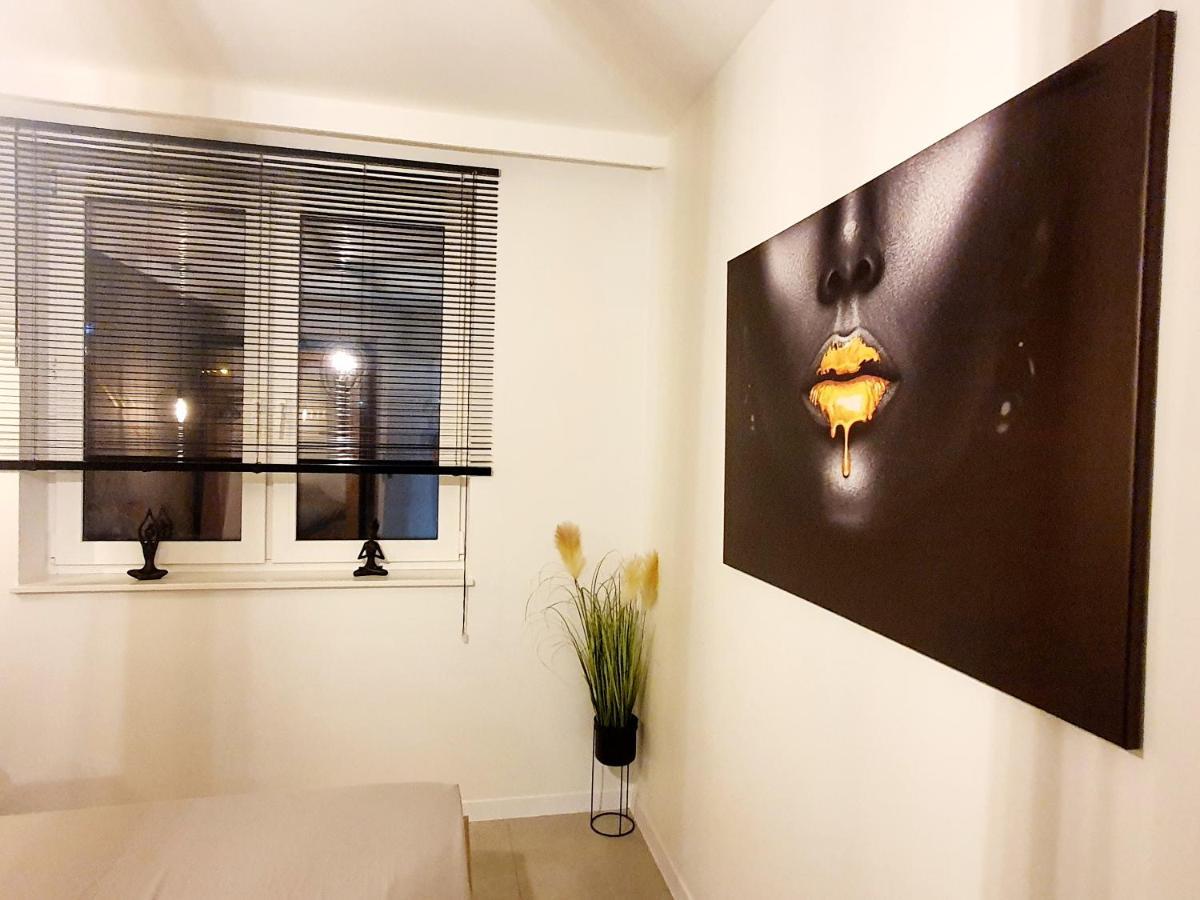 Konopnickiej 88 Cosy Apartment Sosnowiec Extérieur photo