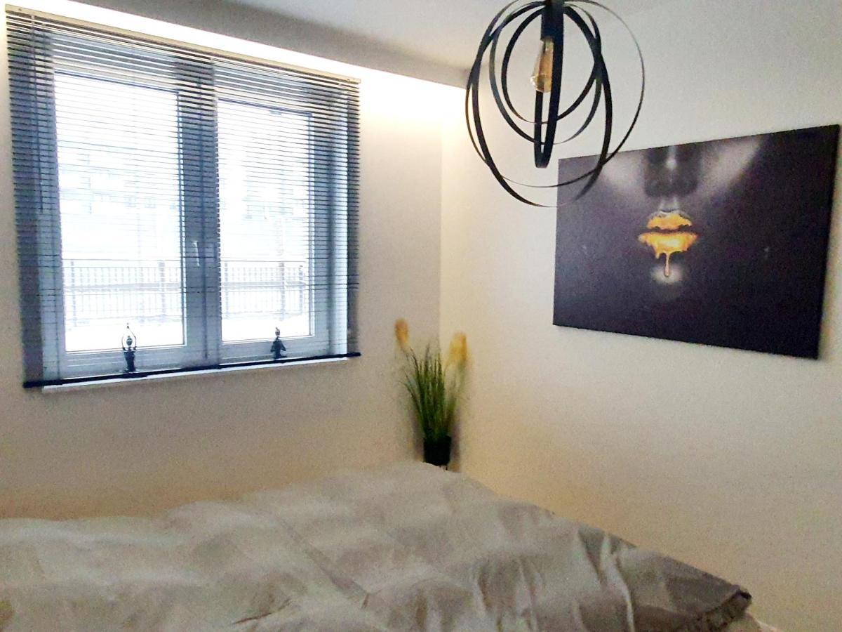 Konopnickiej 88 Cosy Apartment Sosnowiec Extérieur photo